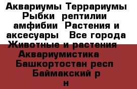 Аквариумы.Террариумы.Рыбки, рептилии, амфибии. Растения и аксесуары - Все города Животные и растения » Аквариумистика   . Башкортостан респ.,Баймакский р-н